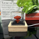 Handmade Resin Atomic Bomb Explosion Mushroom Cloud Small Night Lamp Ornaments