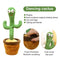 Dancing Cactus Toy